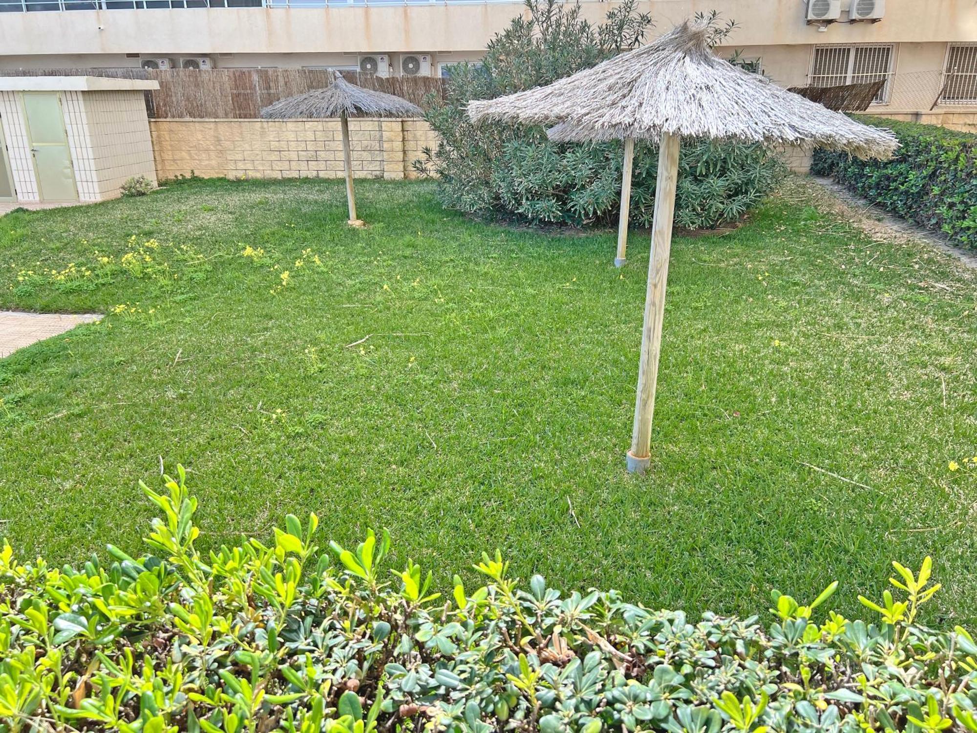 Oasis Frente Al Mar. Parking Gratis Leilighet El Campello Eksteriør bilde