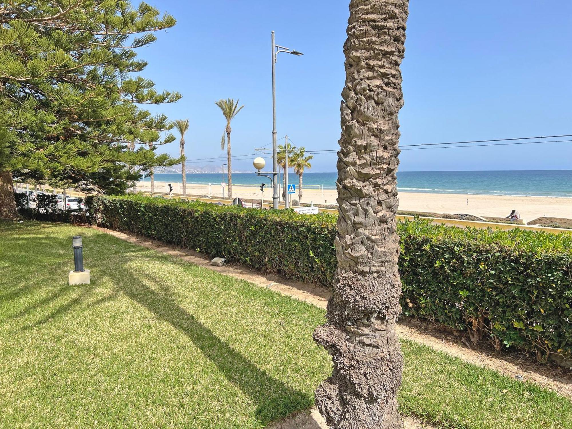Oasis Frente Al Mar. Parking Gratis Leilighet El Campello Eksteriør bilde